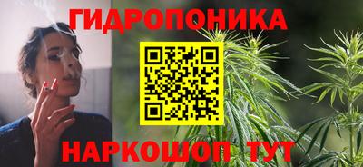 шишки Пушкино