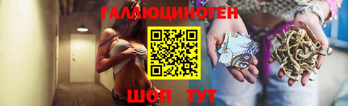 Галлюциногенные грибы GOLDEN TEACHER  Псилоцибиновые грибы Psilocybine cubensis  Вход с VPN  Амурск 